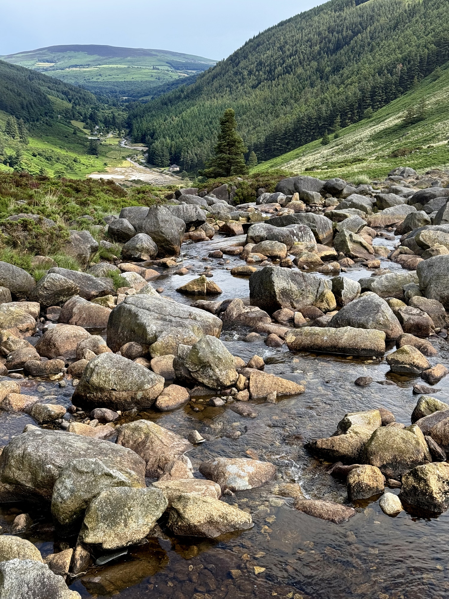 wicklow mountains